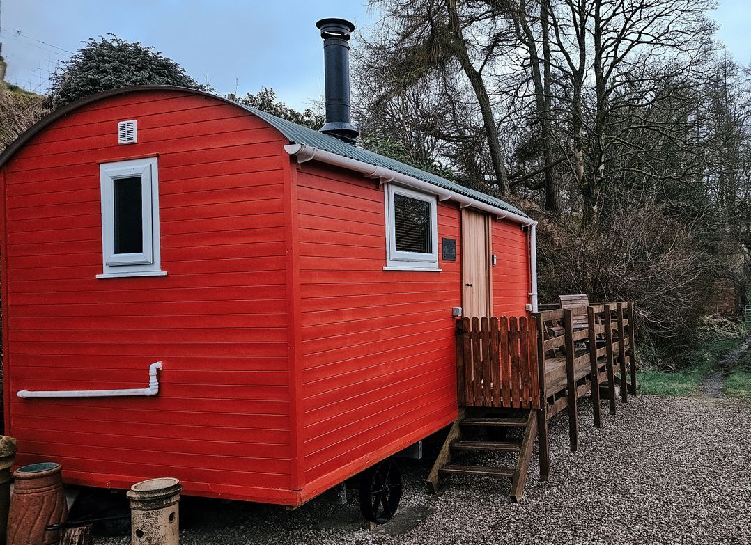 Red Kite at Wild Valley Huts