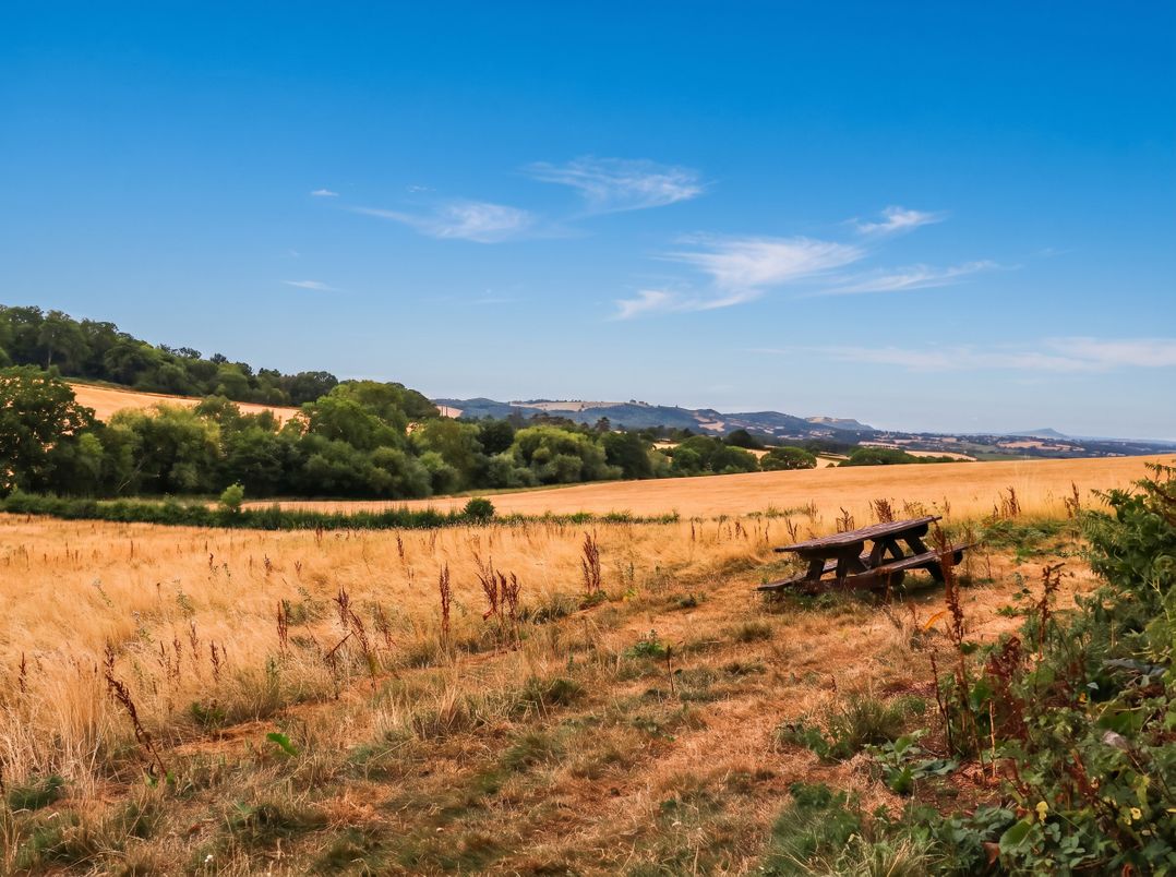 The Warm Hearth: 15 Acre Countryside Estate