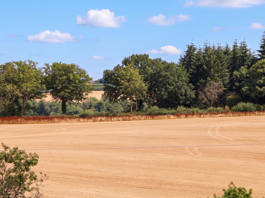 The Warm Hearth: 15 Acre Countryside Estate