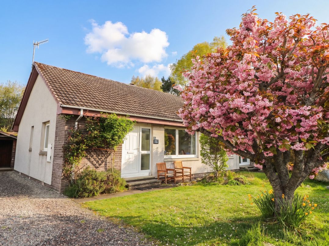 Steam Cottage