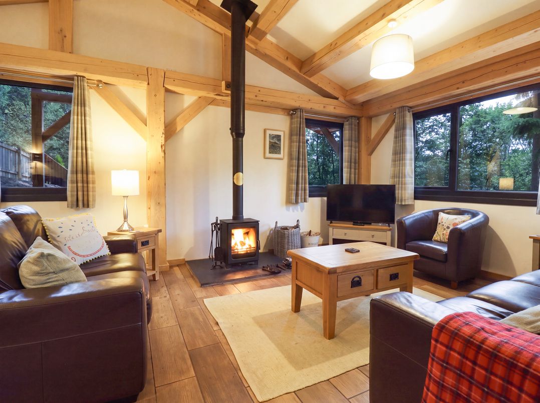 A living room with a wood stove and seating area at Lady Bagots Cabin in Ruthin