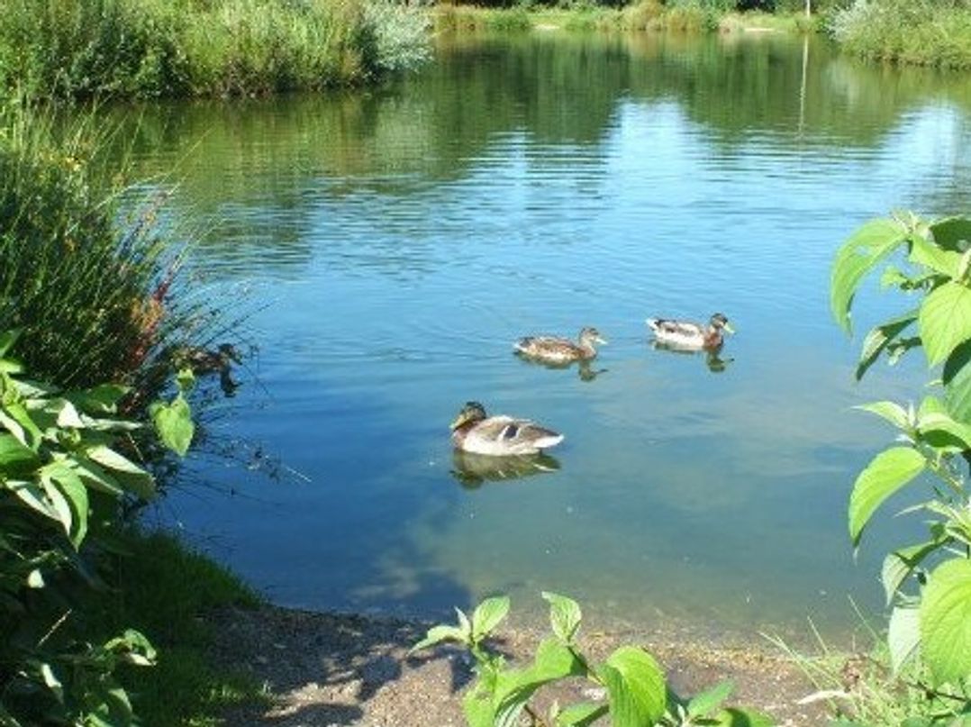 White Acres Holiday Park - Holiday Accommodation 119