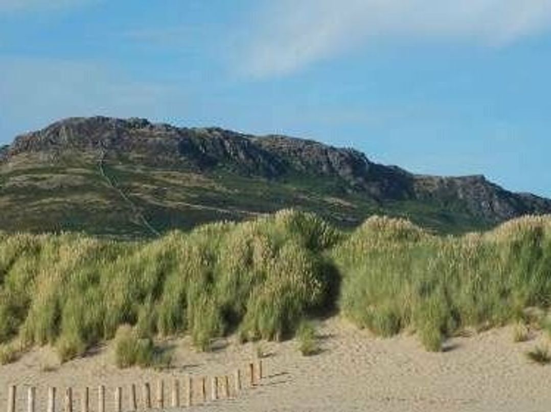 Greenacres Holiday Park - Holiday Accommodation 13413