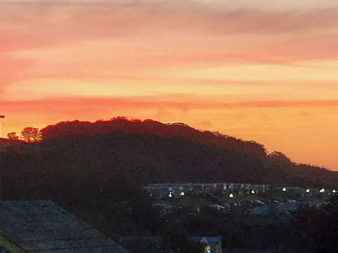 White Acres Holiday Park - Holiday Accommodation 13619