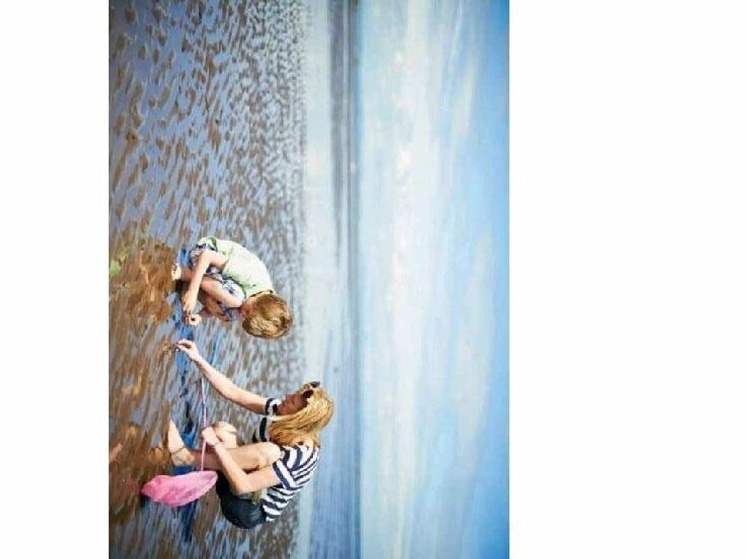 Seton Sands Caravan Park - Holiday Accommodation 13692