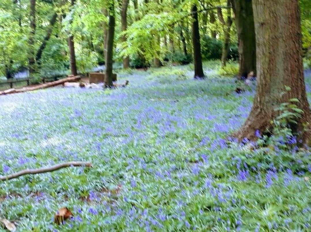 Aberdunant Hall Holiday Park - Holiday Accommodation 15557