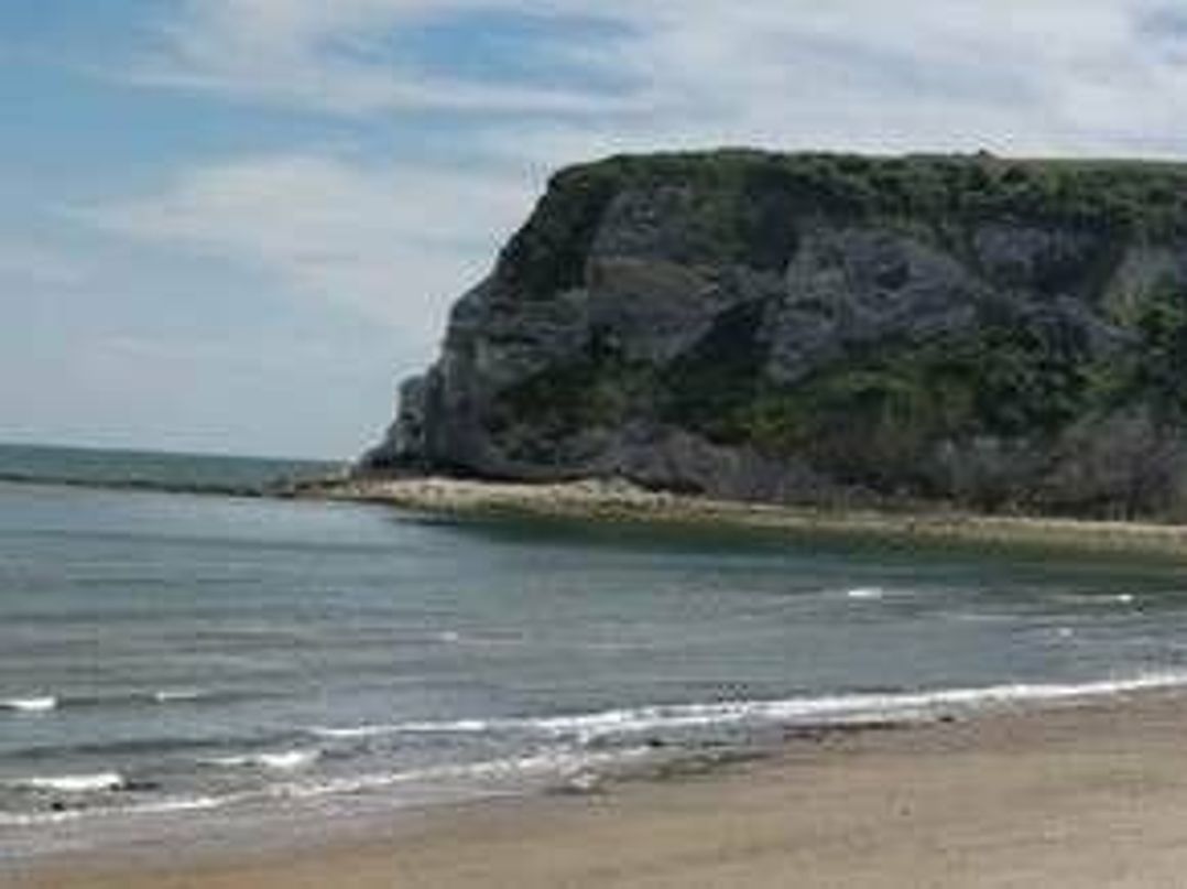 Whitecliff Bay Holiday Park - Holiday Accommodation 16182