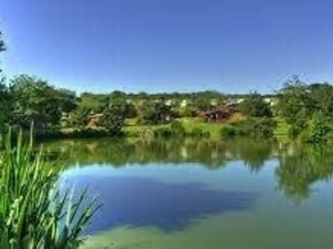 White Acres Holiday Park - Holiday Accommodation 16775