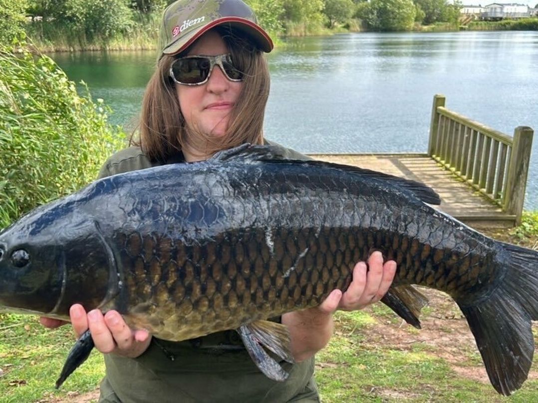 7 Lakes Country Park - Holiday Accommodation 17097