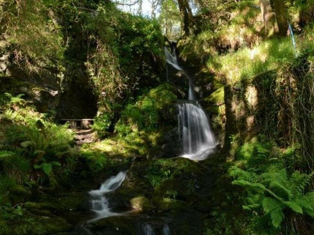 Aberdunant Hall Holiday Park - Holiday Accommodation 17100