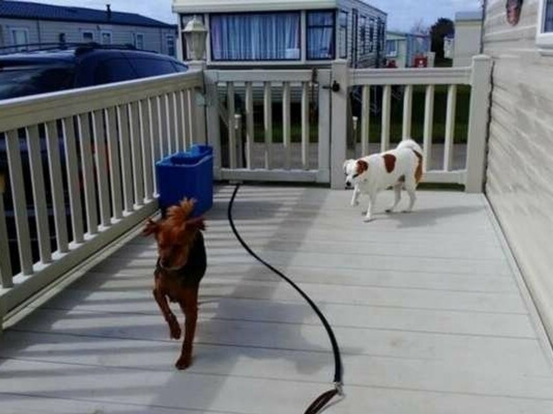 California Cliffs Holiday Park - Holiday Accommodation 17515