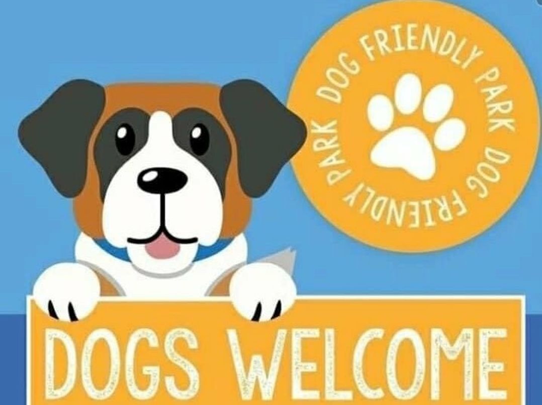 Golden Palm Resort - Holiday Accommodation 17878