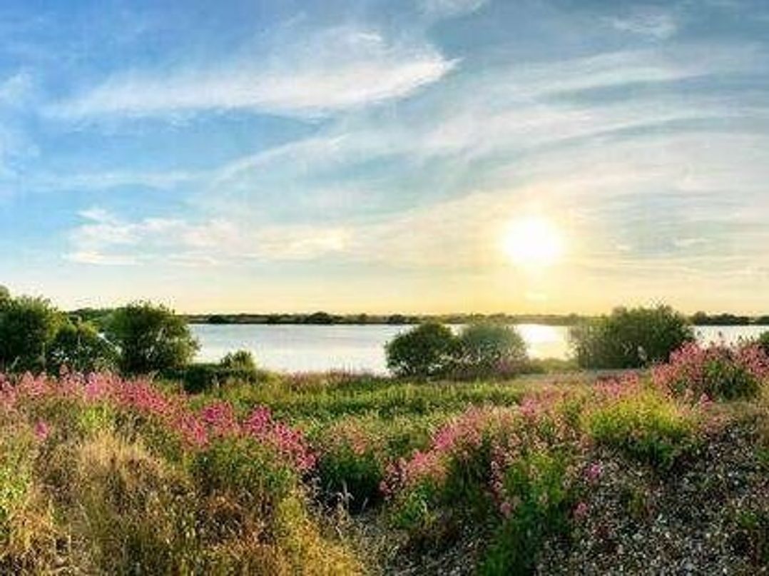 Romney Sands Holiday Park - Holiday Accommodation 18079