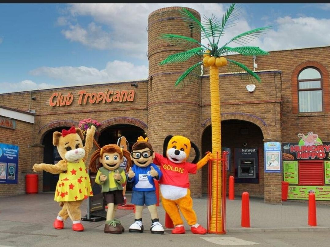 Golden Palm Resort - Holiday Accommodation 18849