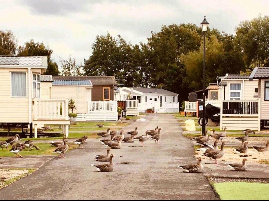 Chichester Lakeside - Holiday Accommodation 19945