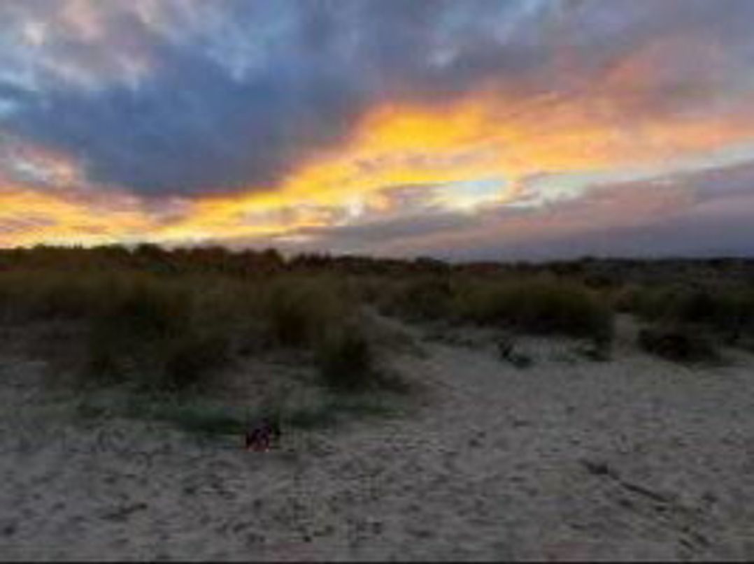 Caister Holiday Park - Holiday Accommodation 20019