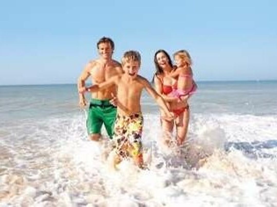 Lyons Winkups and Primrose - Holiday Accommodation 21579