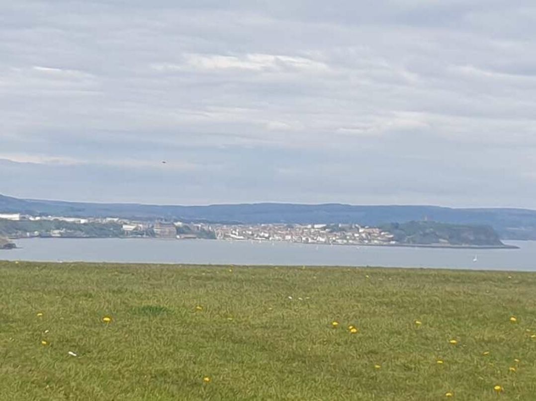 Blue Dolphin Holiday Park - Holiday Accommodation 21727