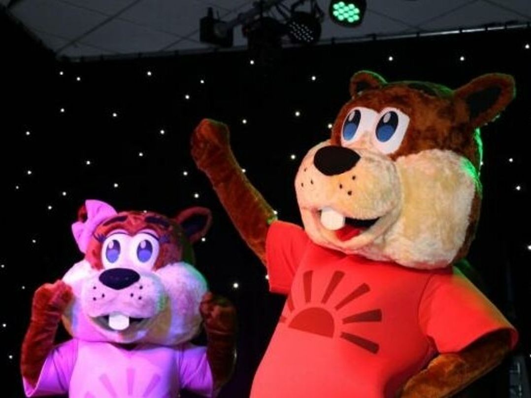 Oakdene Forest Park - Holiday Accommodation 21736