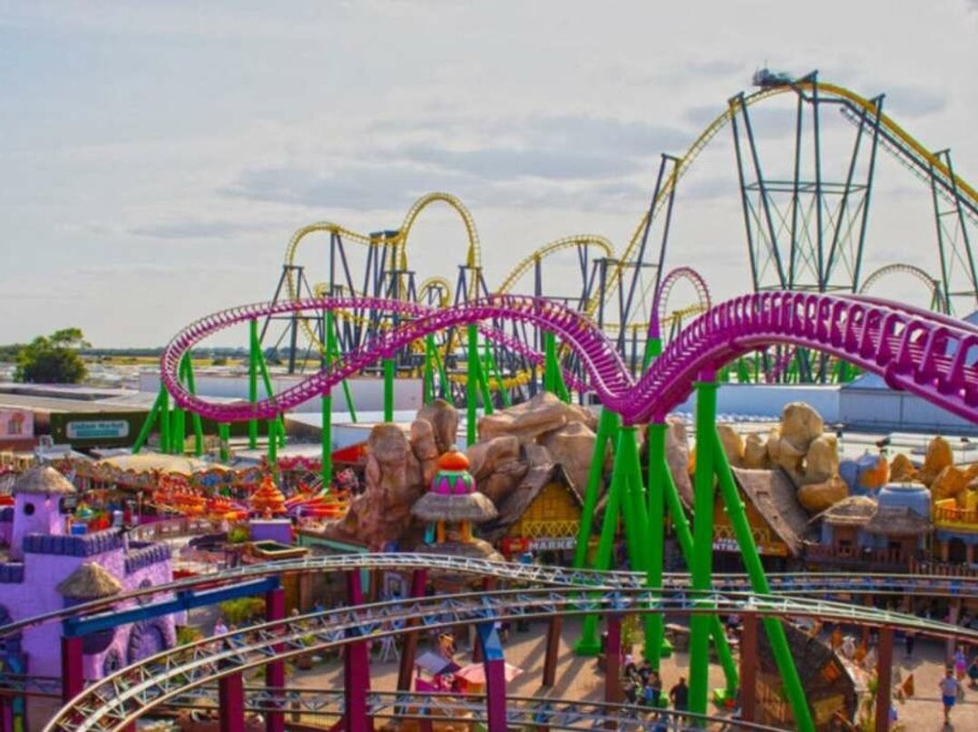 Golden Palm Resort - Holiday Accommodation 22164