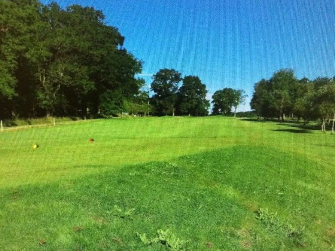 Percy Woods Country Park - Holiday Accommodation 22315