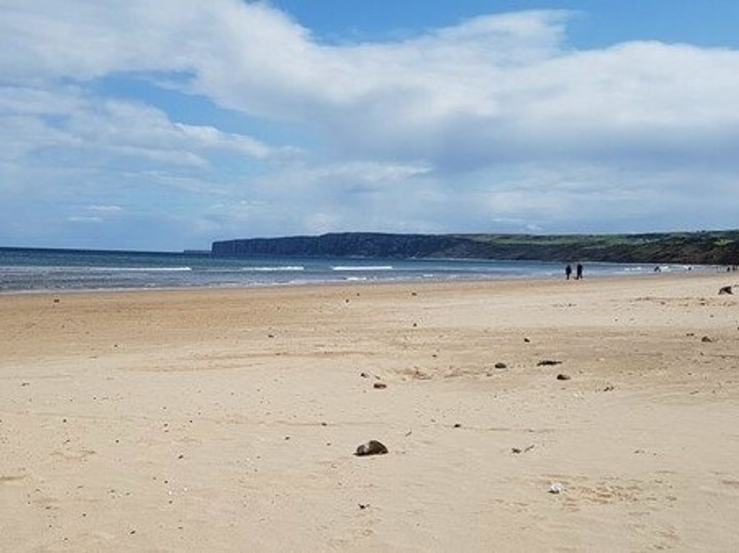 Primrose Valley Holiday Park - Holiday Accommodation 6634