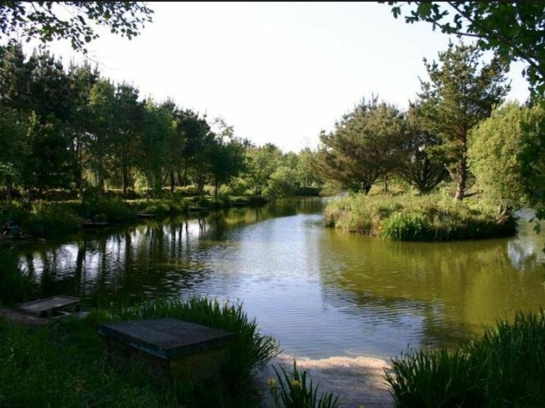 White Acres Holiday Park - Holiday Accommodation 6776