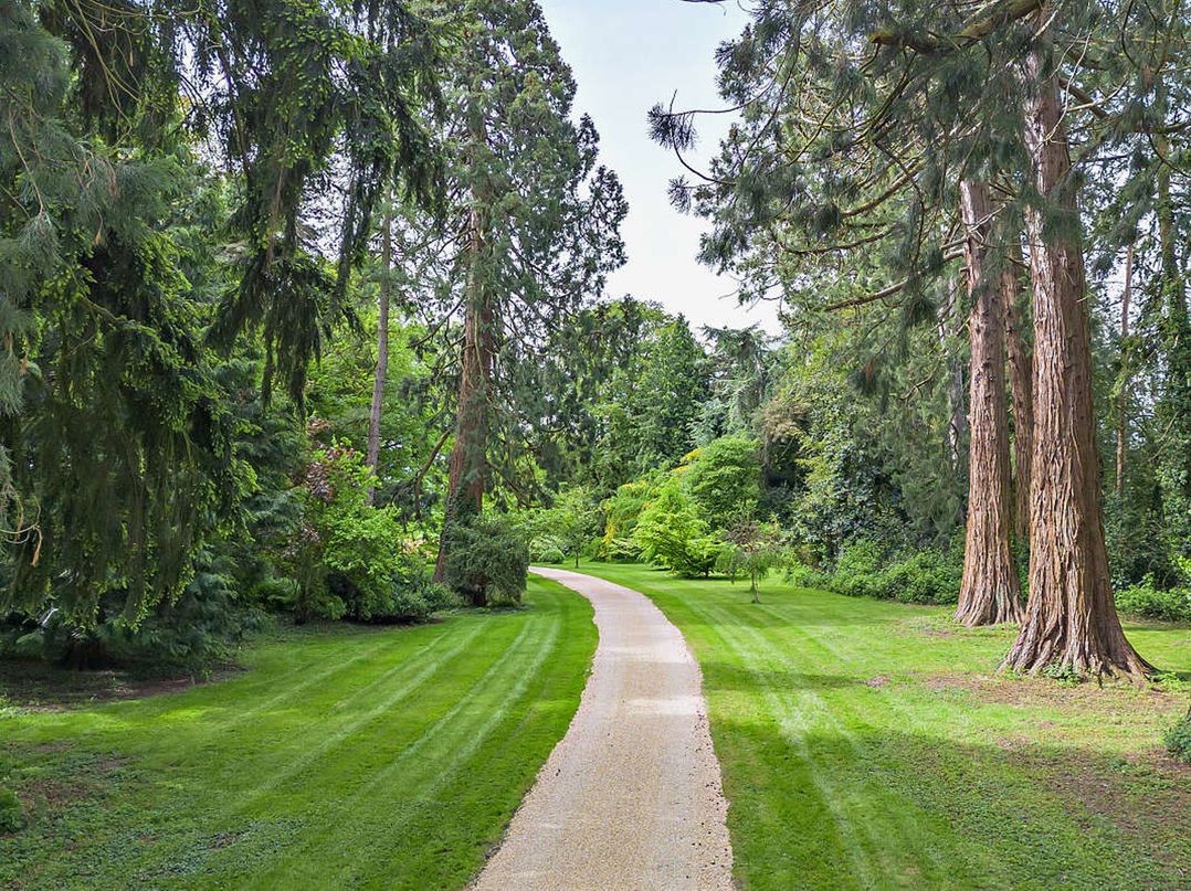Staunton Park