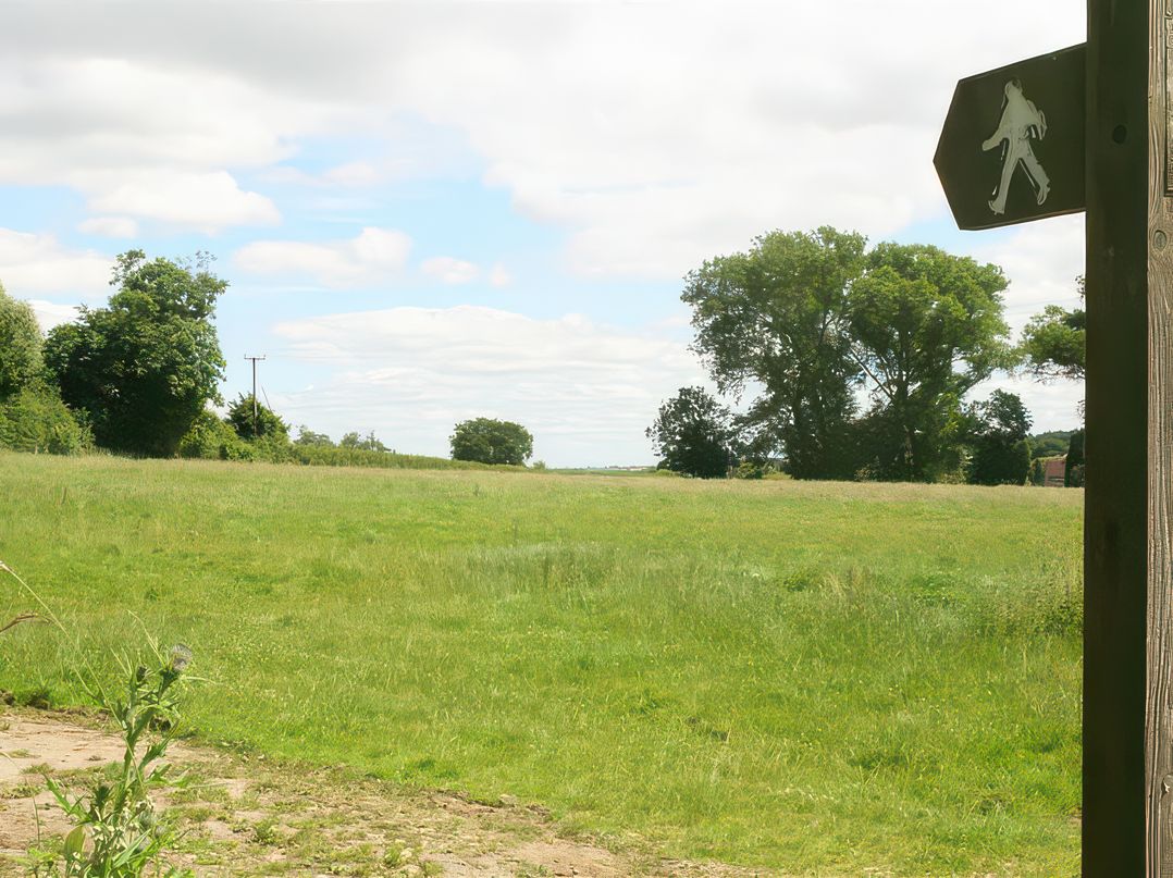 Elm View
