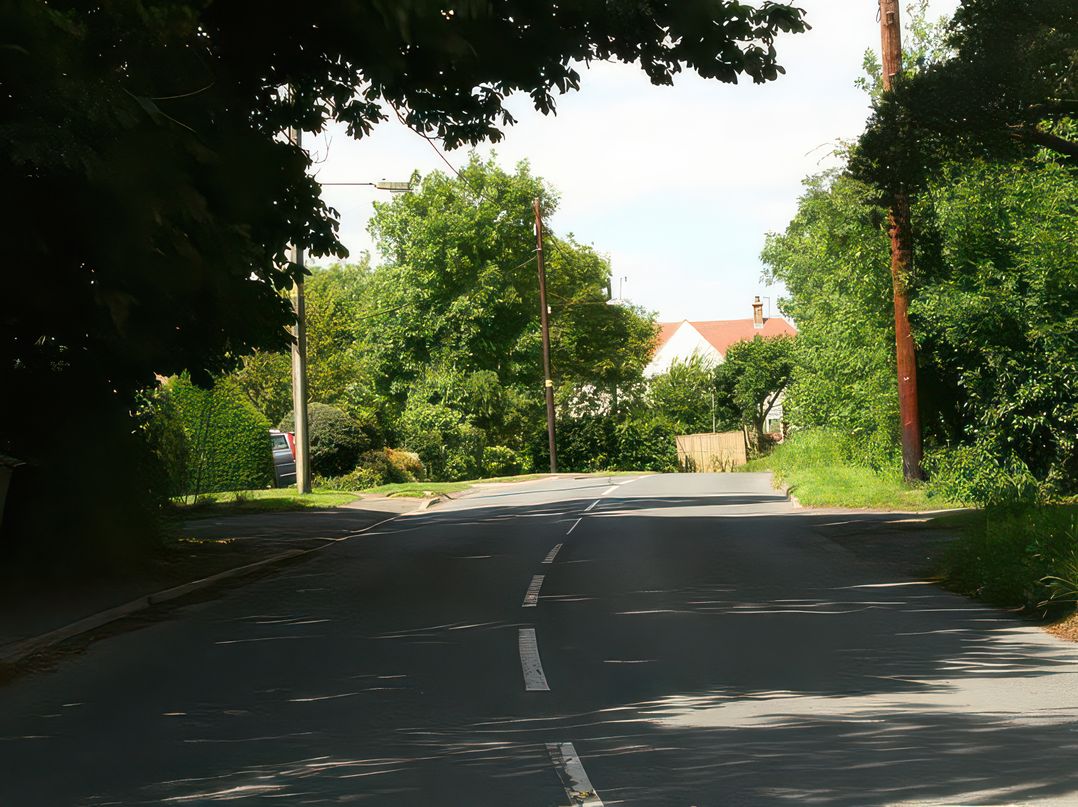 Elm View