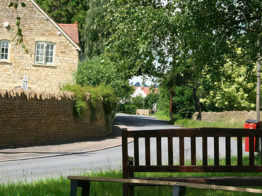 Elm View