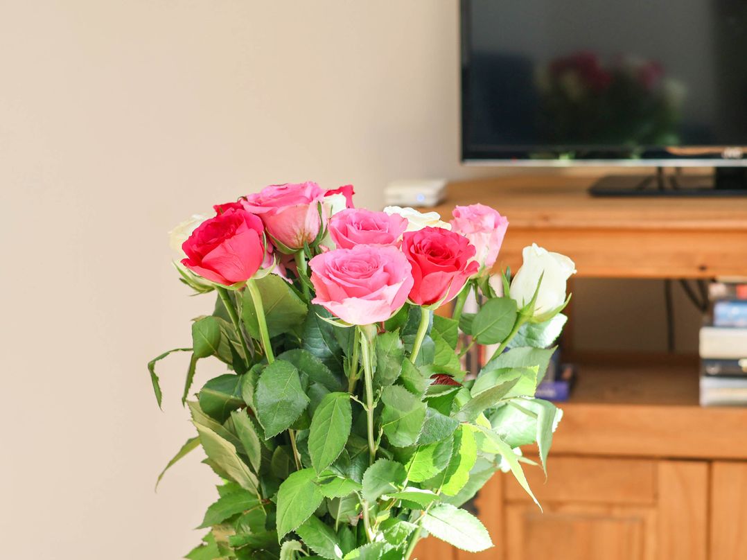 Holiday cottage in Saltburn-by-the-Sea, Yorkshire