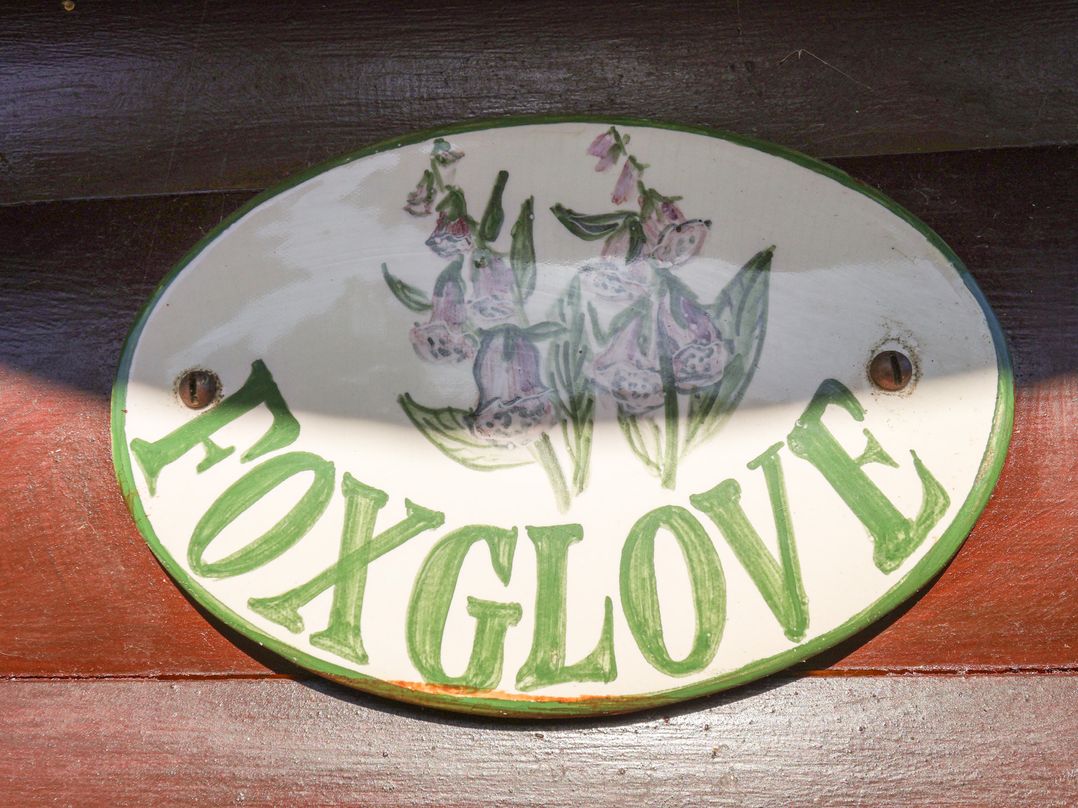 A sign with the word Foxglove and a flower illustration at Foxglove Lodge in Saltburn-By-The-Sea
