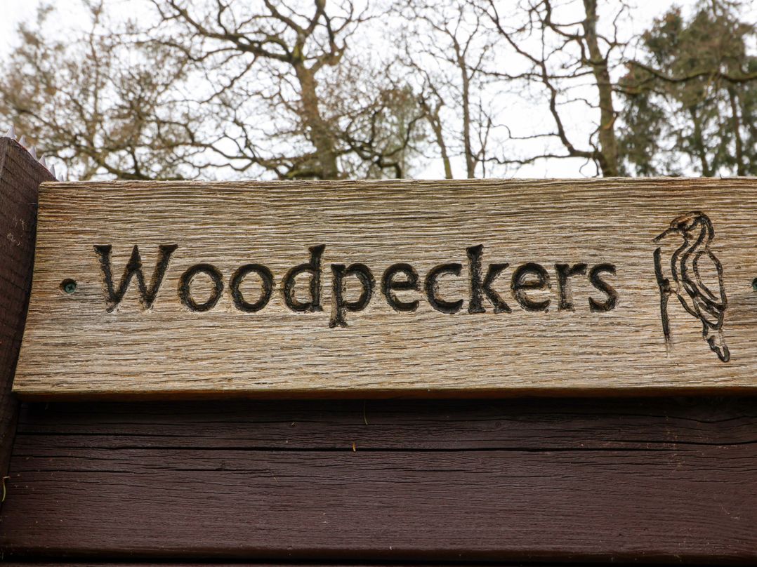 Woodpeckers