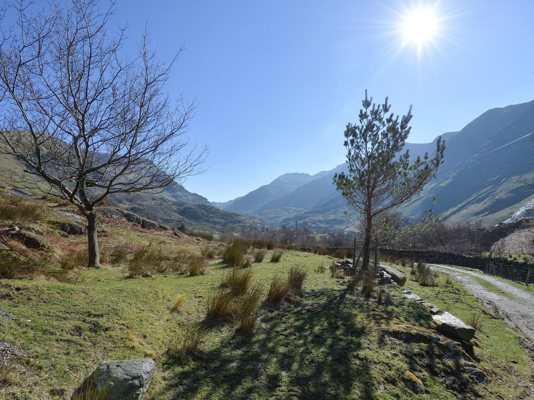Llwyn Bedw