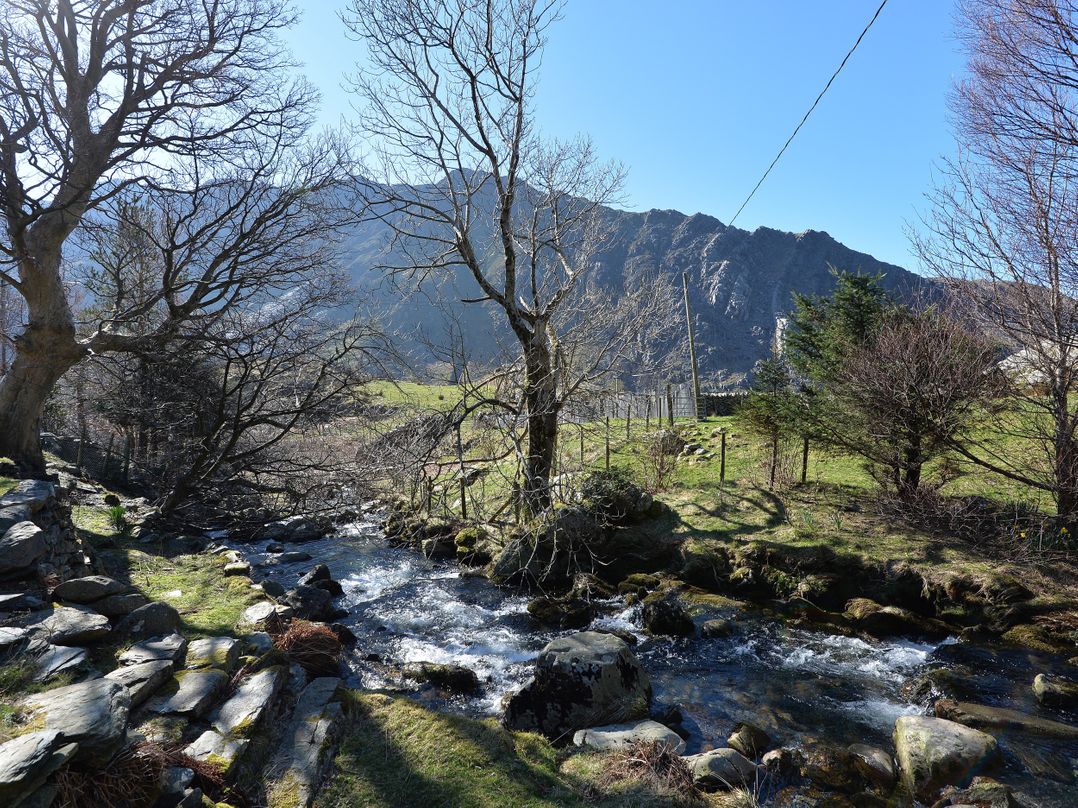 Llwyn Bedw