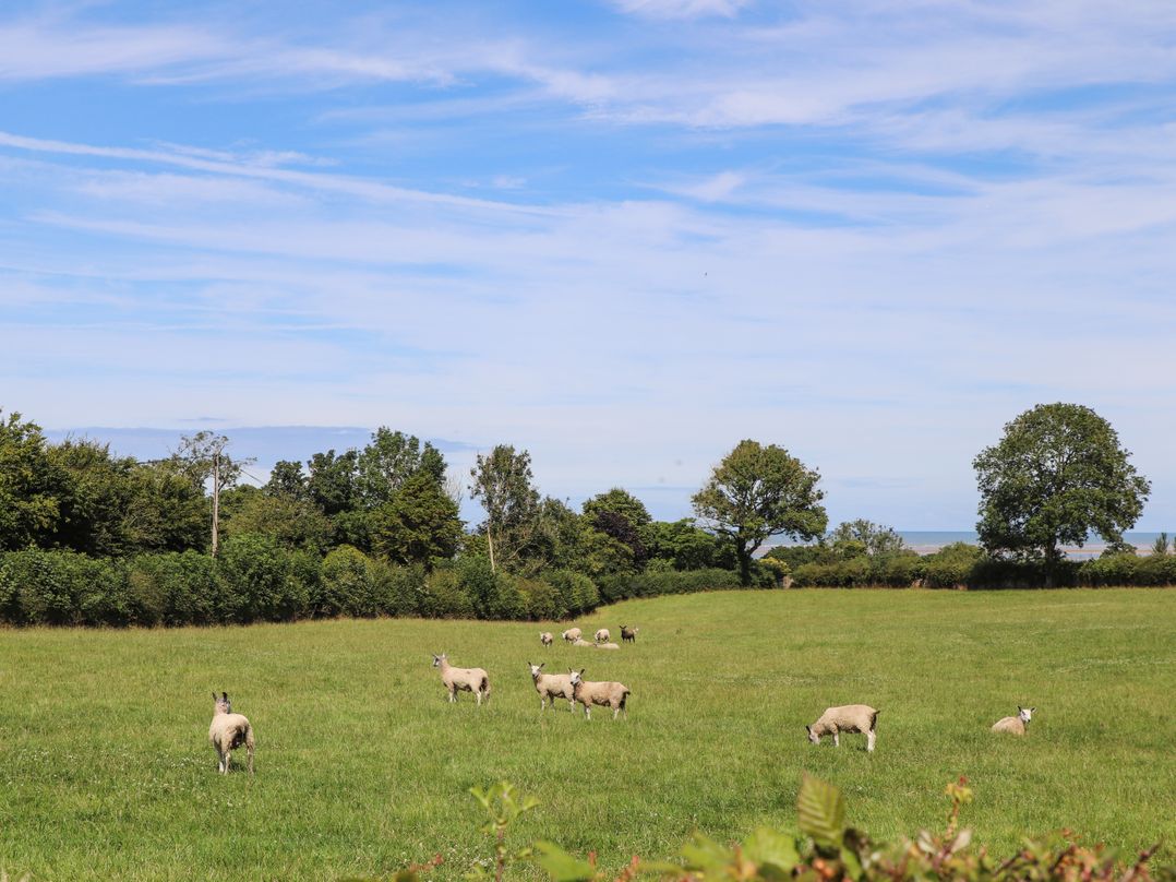 Pen y Bont Bach