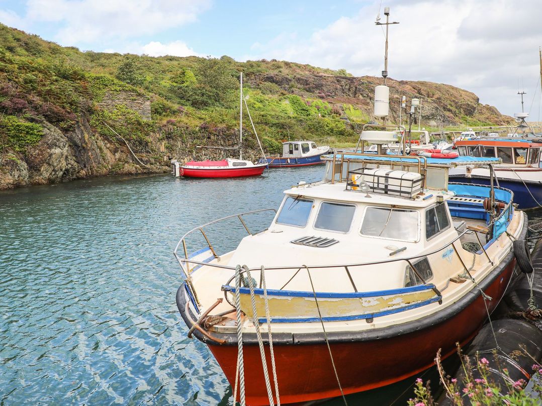 Tyn y Mynydd