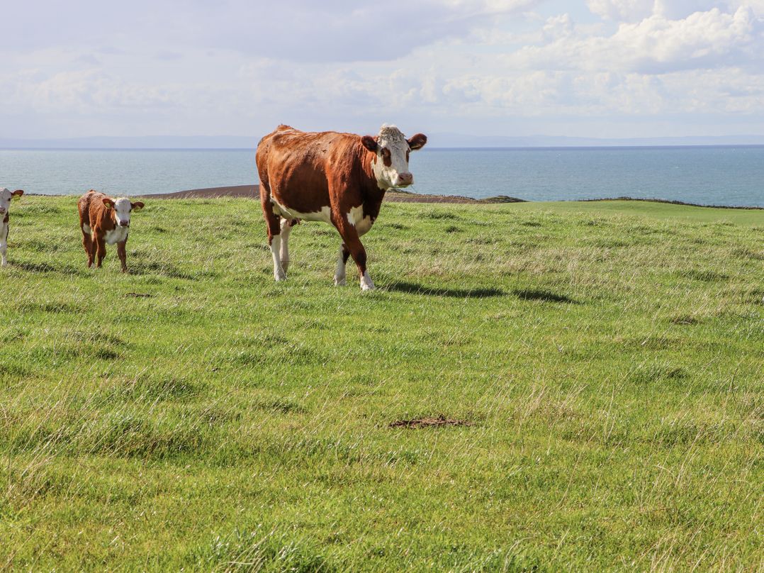 Corsewall Castle Farm Lodges