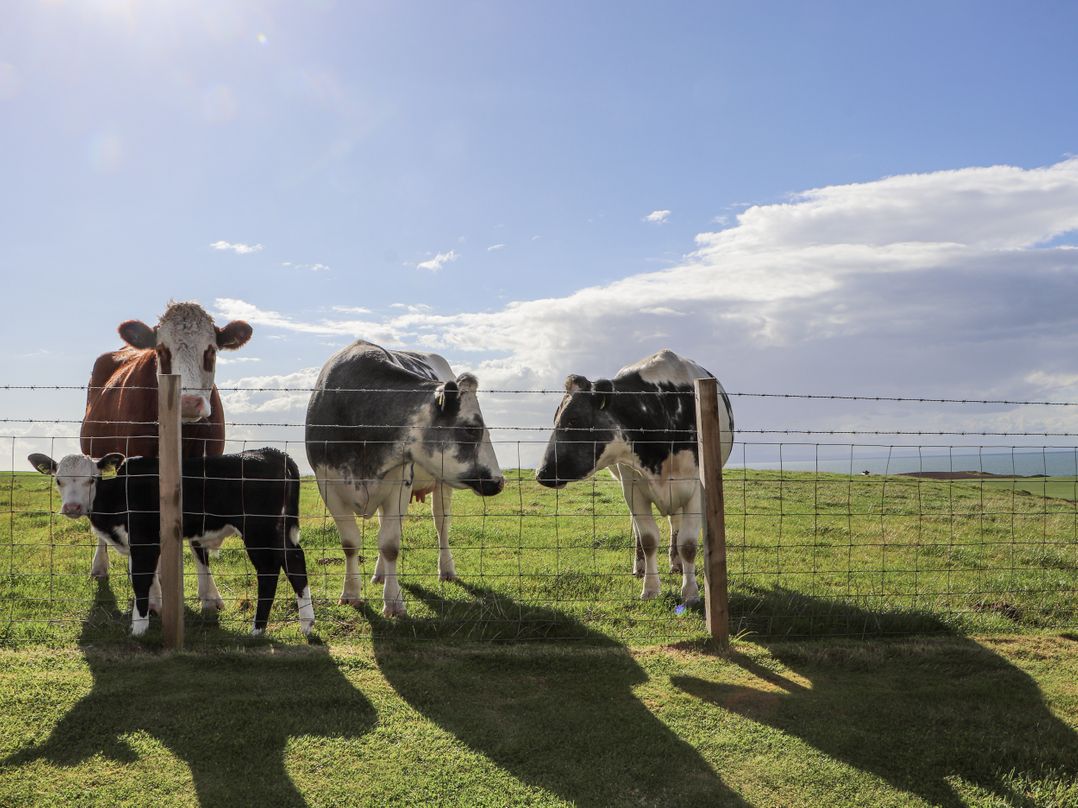 Corsewall Castle Farm Lodges