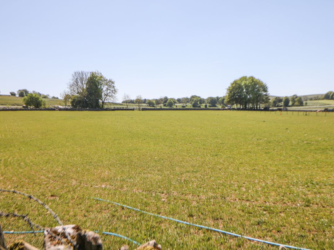 Meadow View