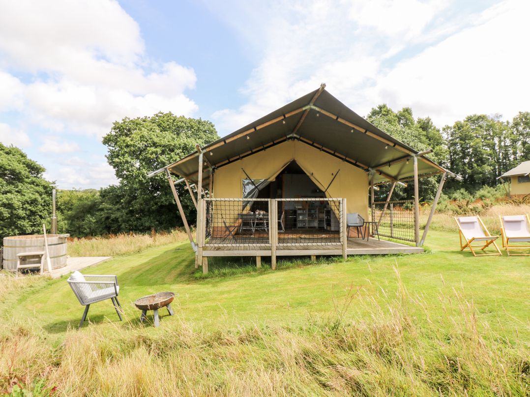 Bumble @ Stars & Embers Glamping