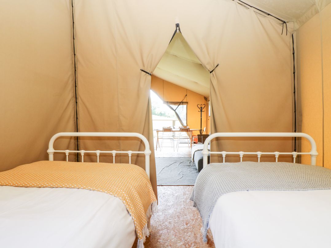 Bumble @ Stars & Embers Glamping