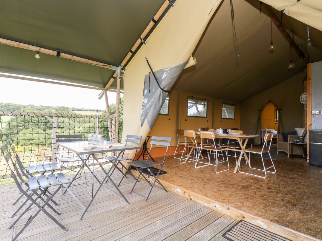 Bumble @ Stars & Embers Glamping