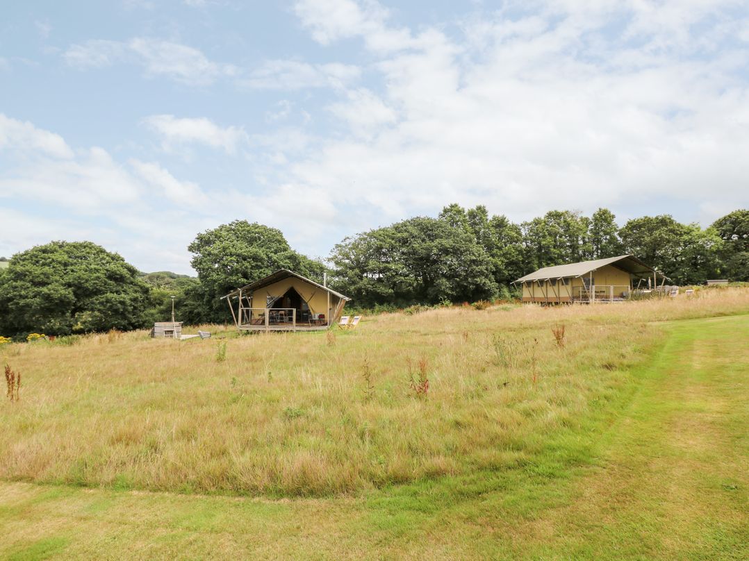 Bumble @ Stars & Embers Glamping