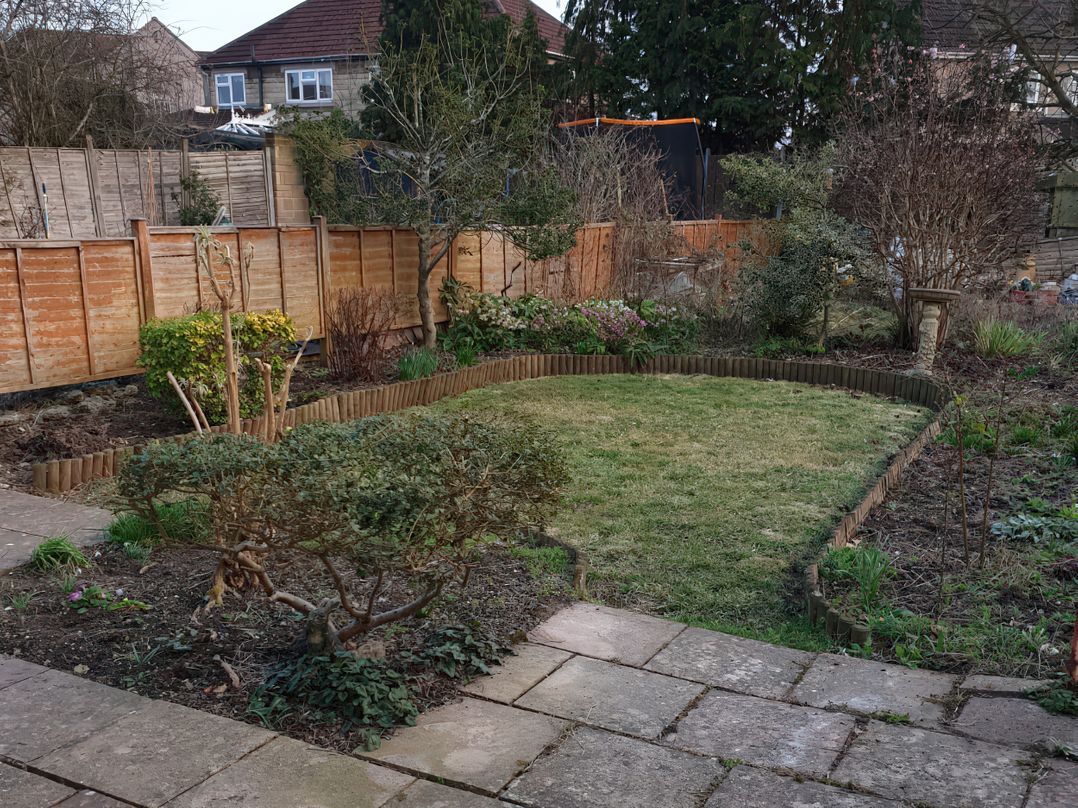 Lavender Harmony House