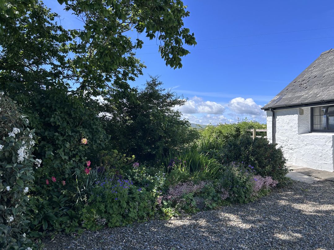 Ty-Newydd Cottage
