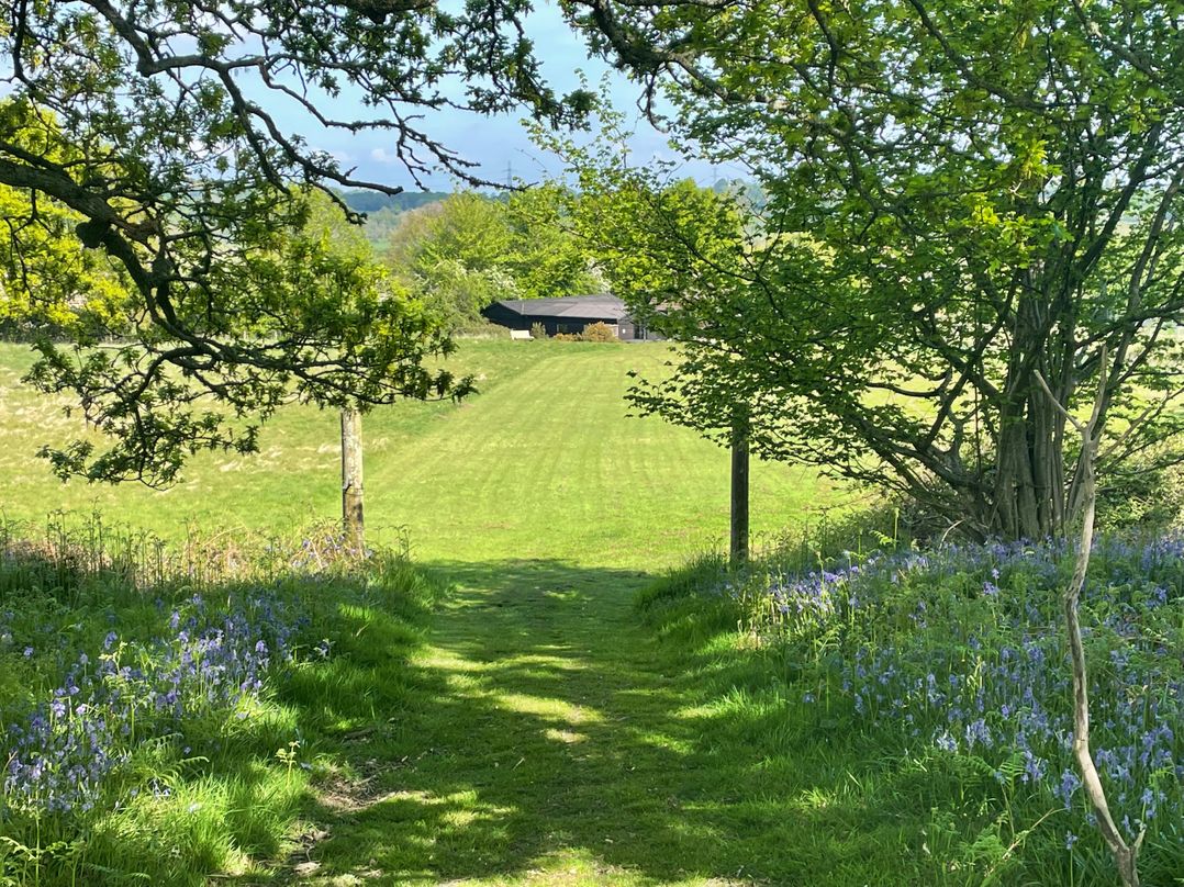 Deer lodge at Chapel Lodges
