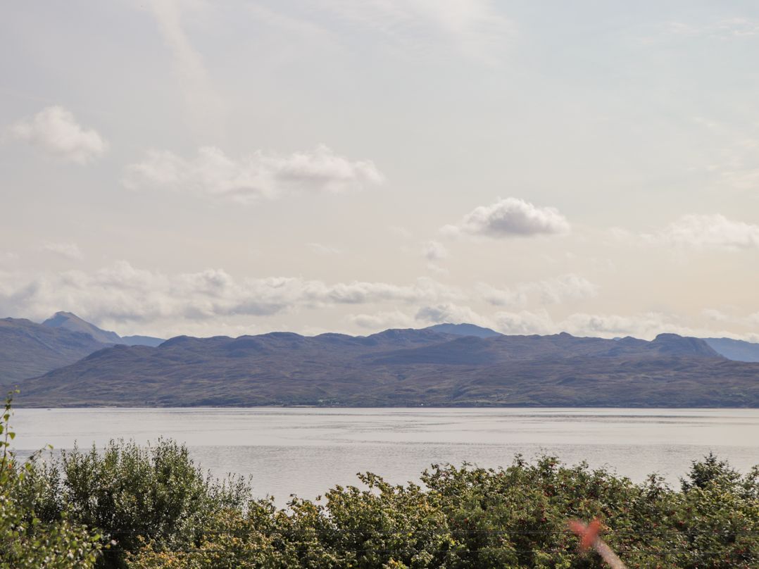 The Lookout