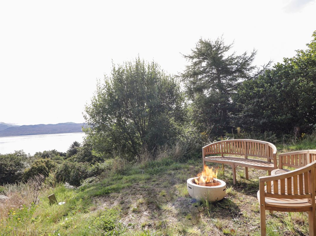 The Lookout